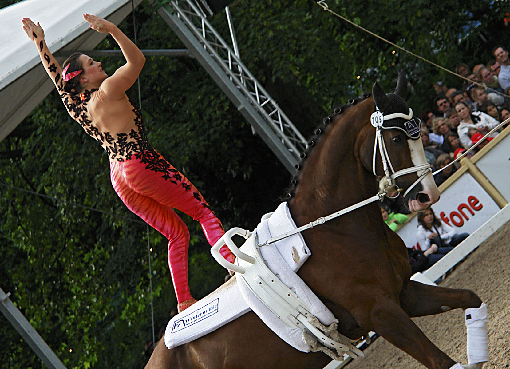 Nicola Strh (GER) auf Eddy the Eagle RS von der Wintermhle